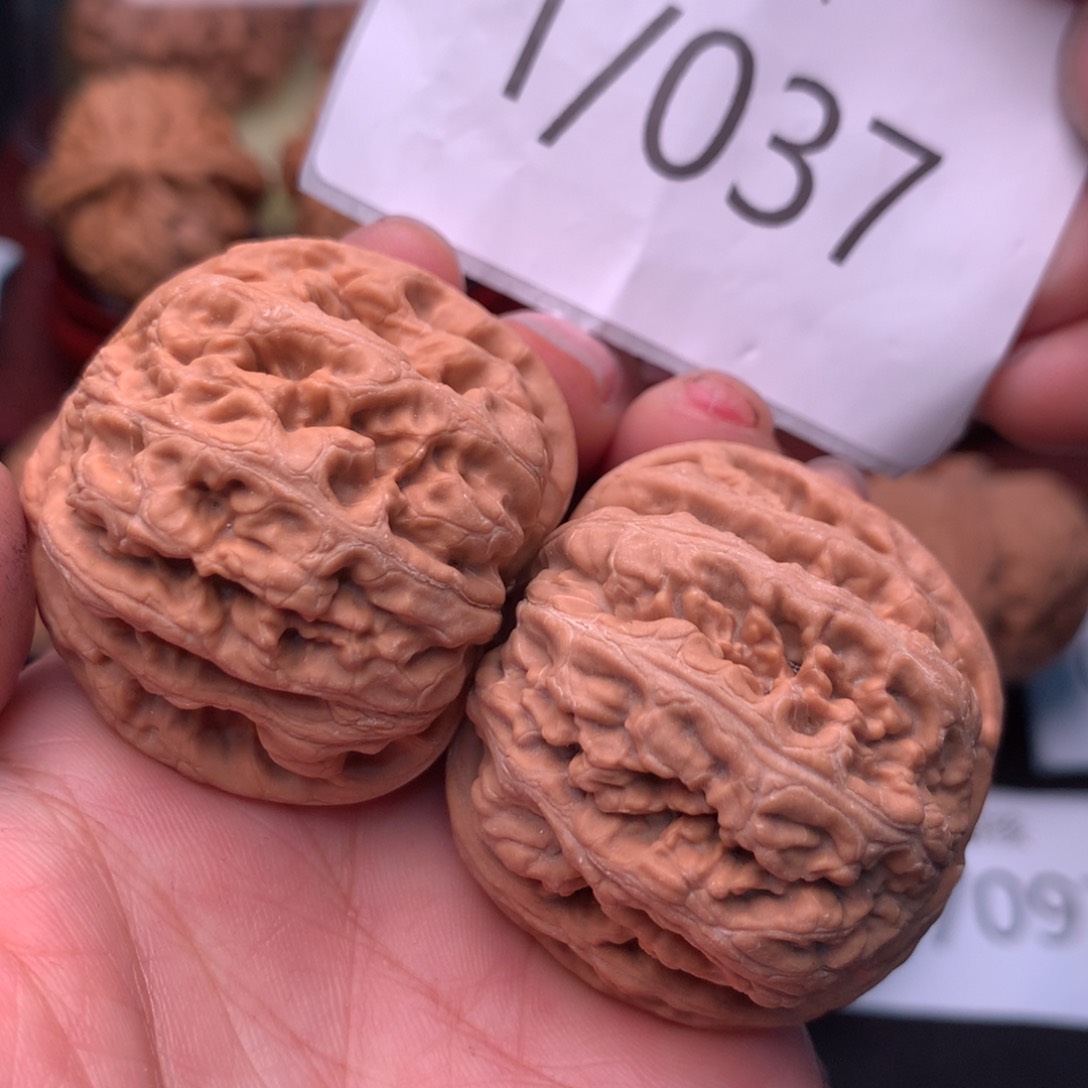 文玩核桃把件40全品粗筋