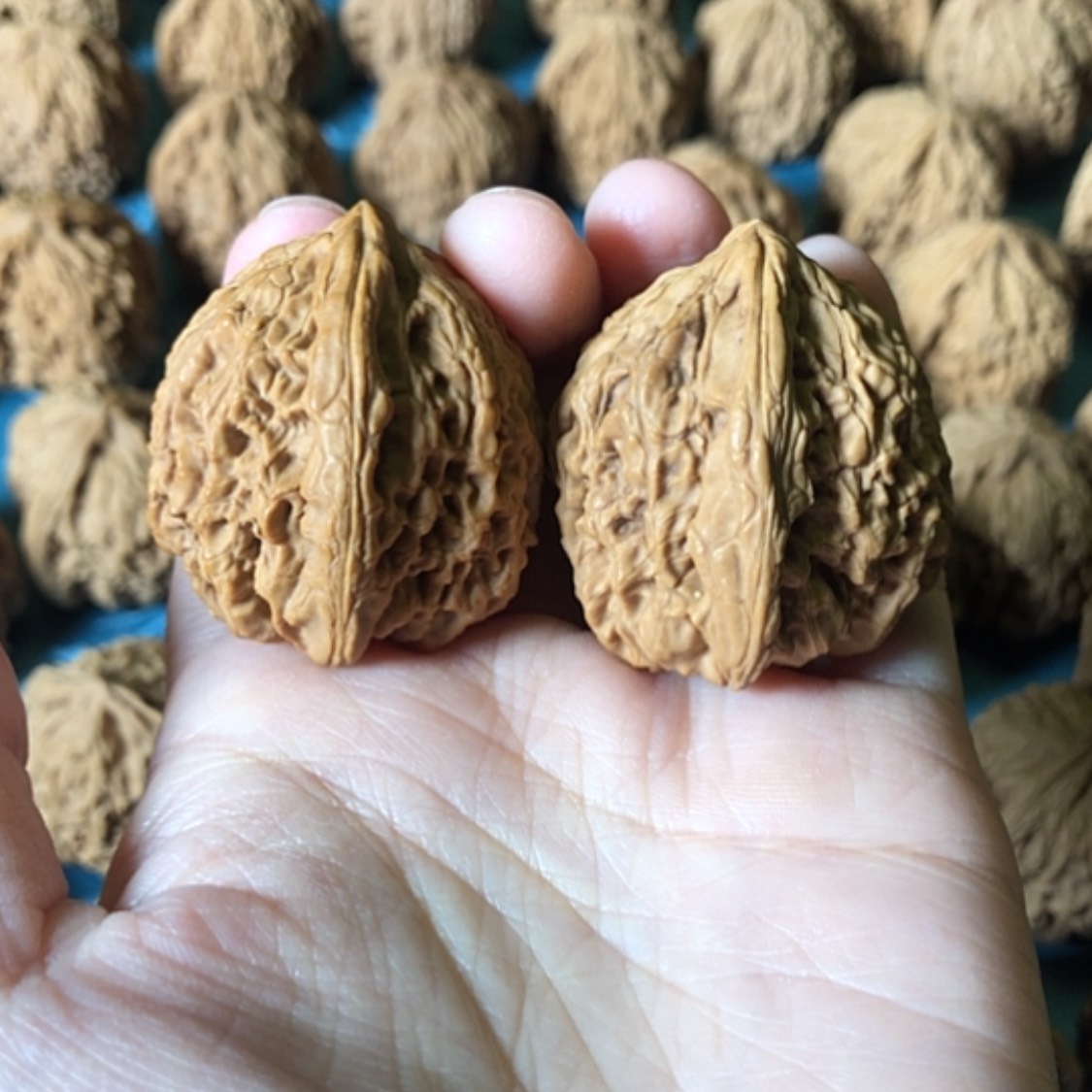 【闪购商品】文玩核桃把件一代疆
