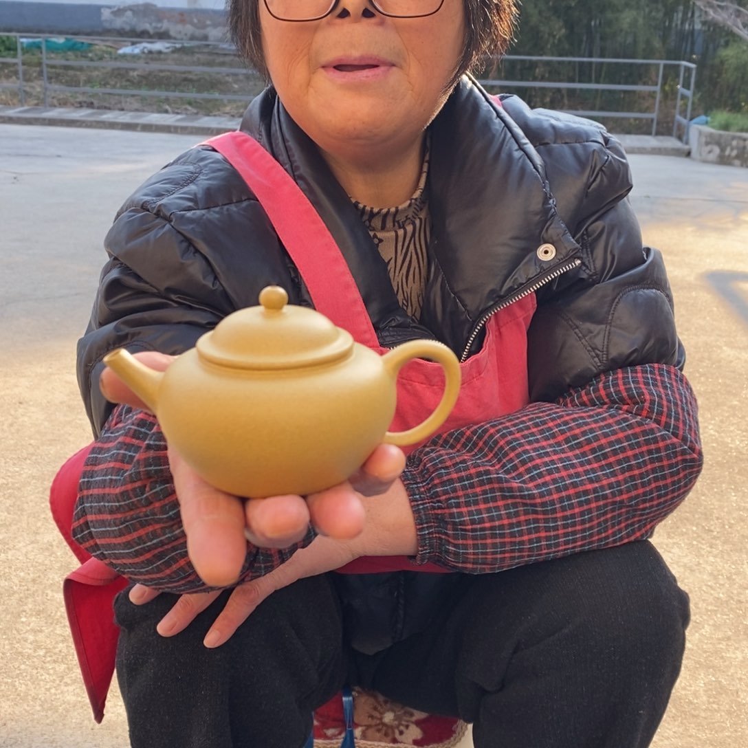 紫砂茶壶宜兴紫砂工艺美术精品