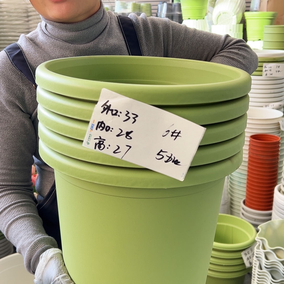 四季盆6#果绿色5个无托
