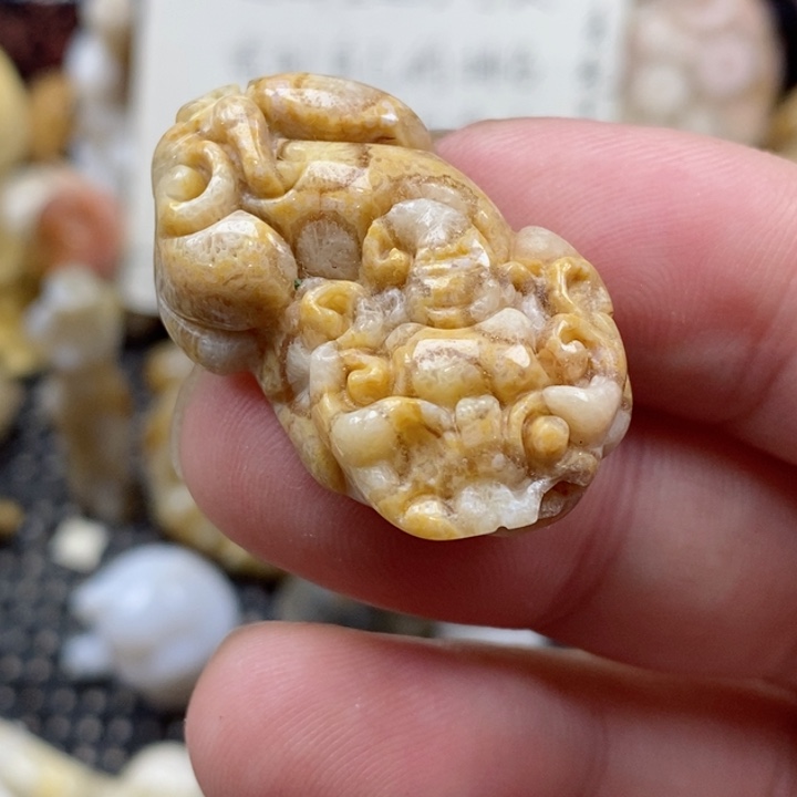 颈饰未镶嵌硅化珊瑚（珊瑚玉）有瑕 小