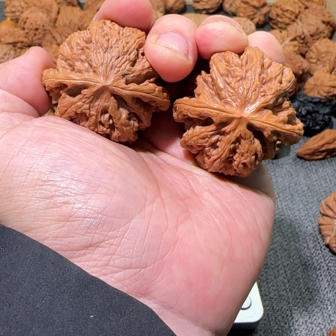 文玩核桃把件45粗筋