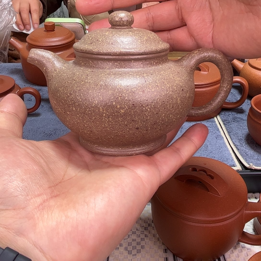 紫砂茶壶280毫升12目青降坡掇只