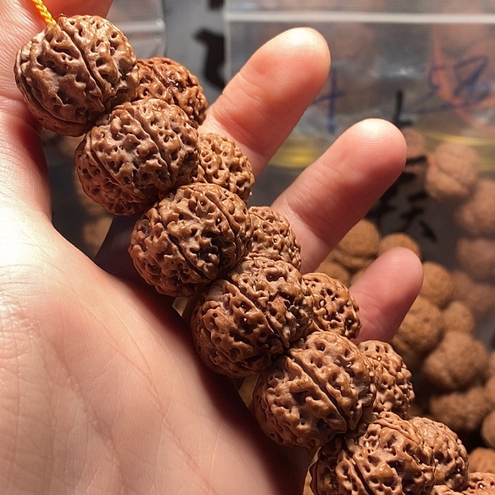 问***道手串金刚菩提21古龙六瓣原生态