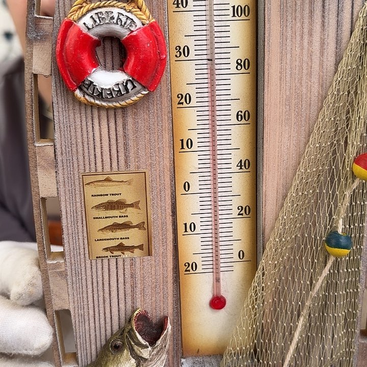 核桃木/黑胡桃（胡桃木）