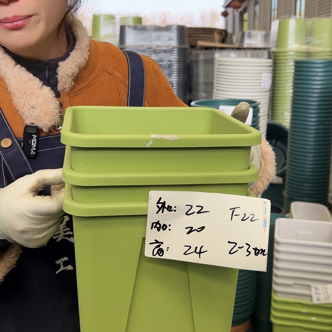 方盆F22果绿5个（含托）