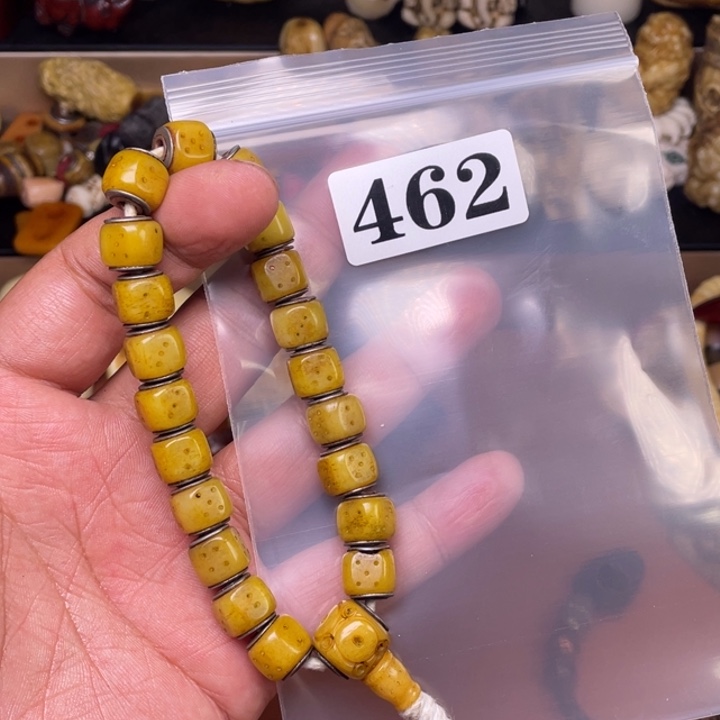 驼骨摆件人工养殖