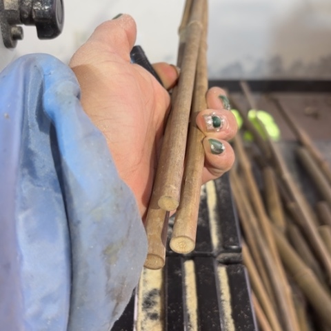 竹那**春实心竹竹竹竹竹竹竹竹竹