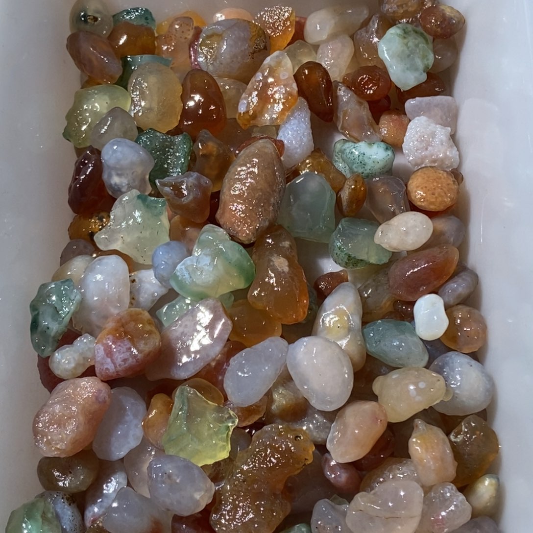 竹***计阿拉善多宝糖盆栽石