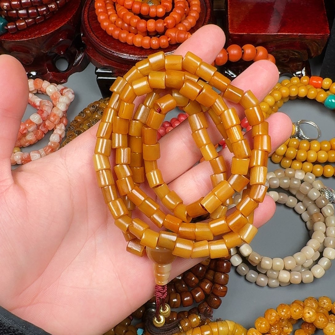 骨质的一串非常好的一条