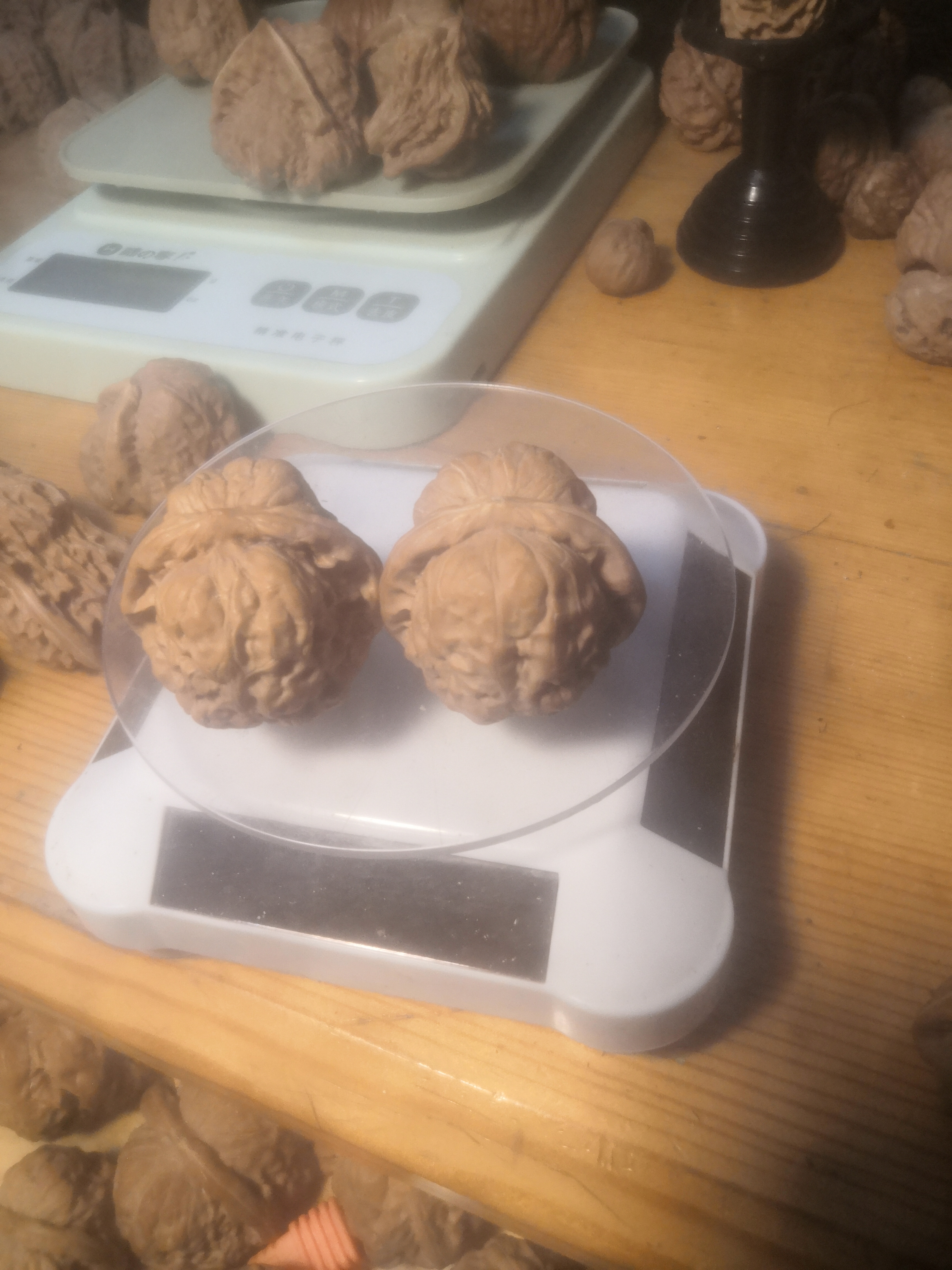 3.5文玩核桃蛤蟆头成品对