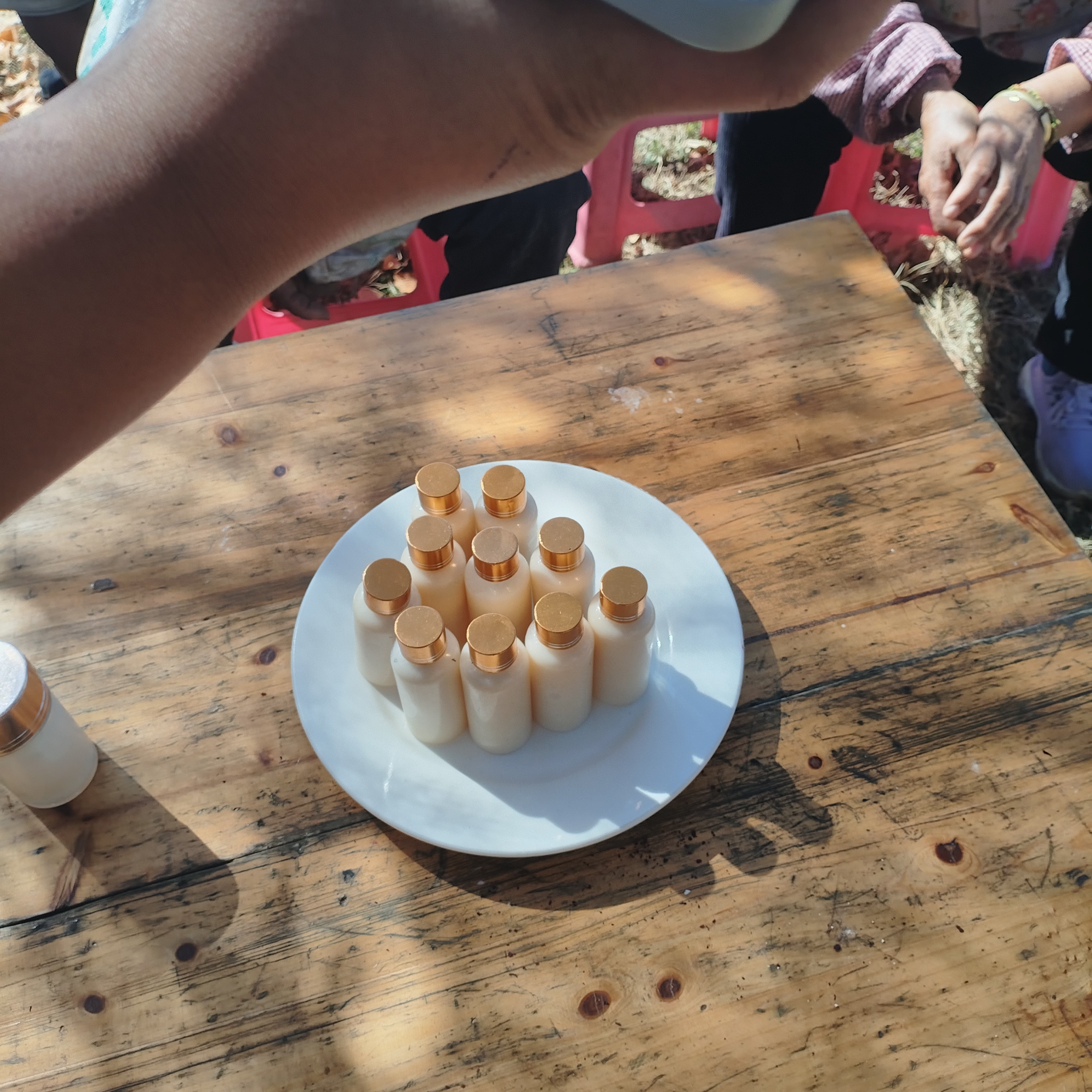 小宇收山货-～（虫它-油）～