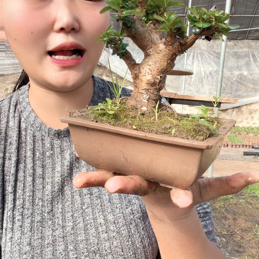 赏***主无花朵卖倒买倒卖的目的