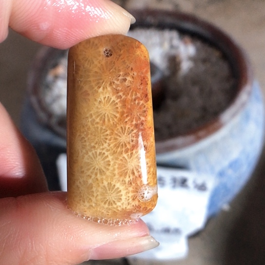 硅化玉吊坠未镶嵌