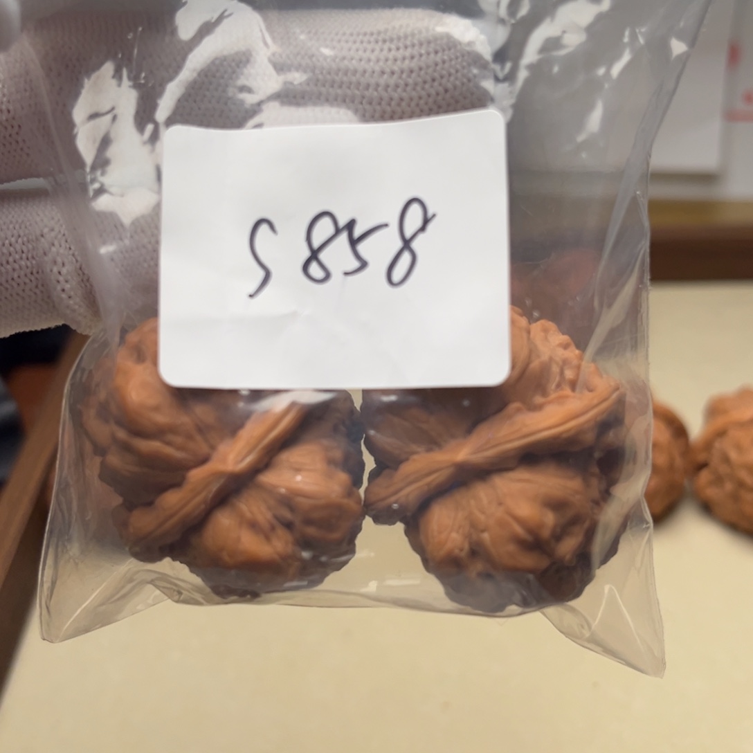 文玩核桃吊坠蛤蟆s858