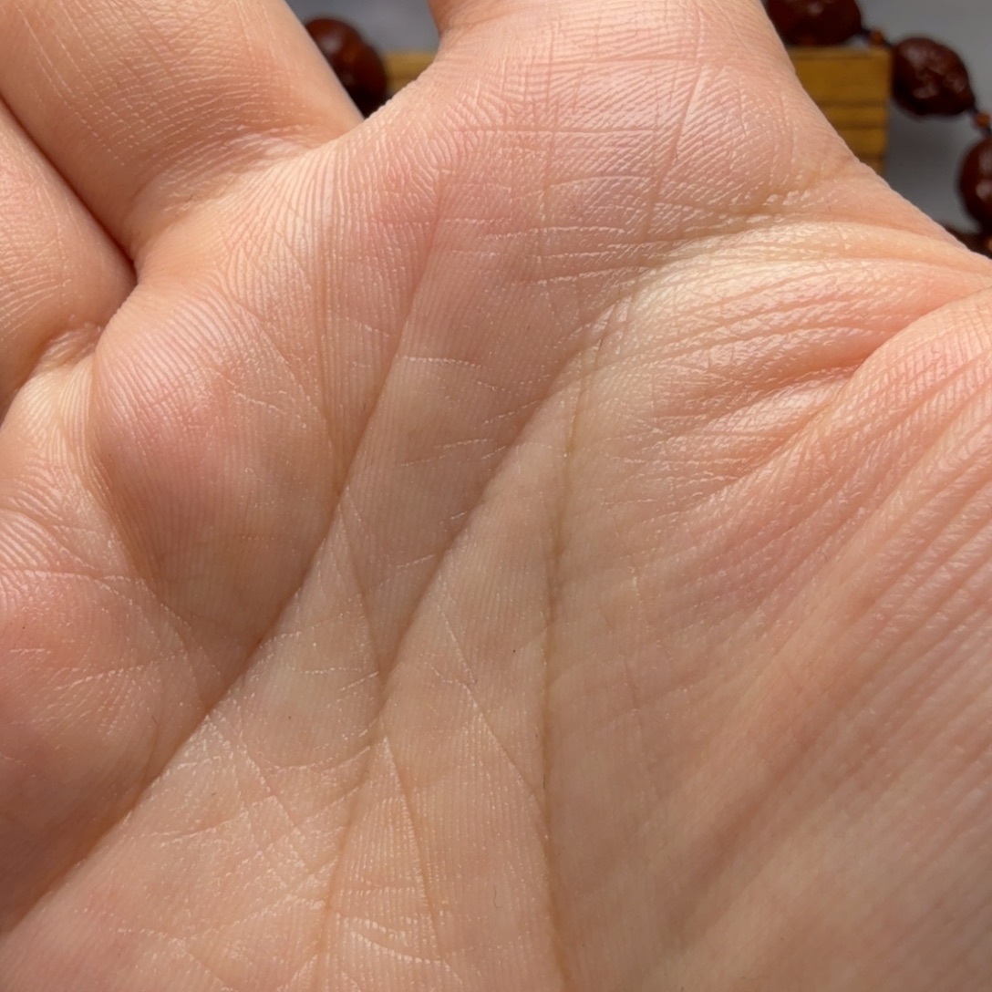 +***橄榄核手串/手链别拍订做