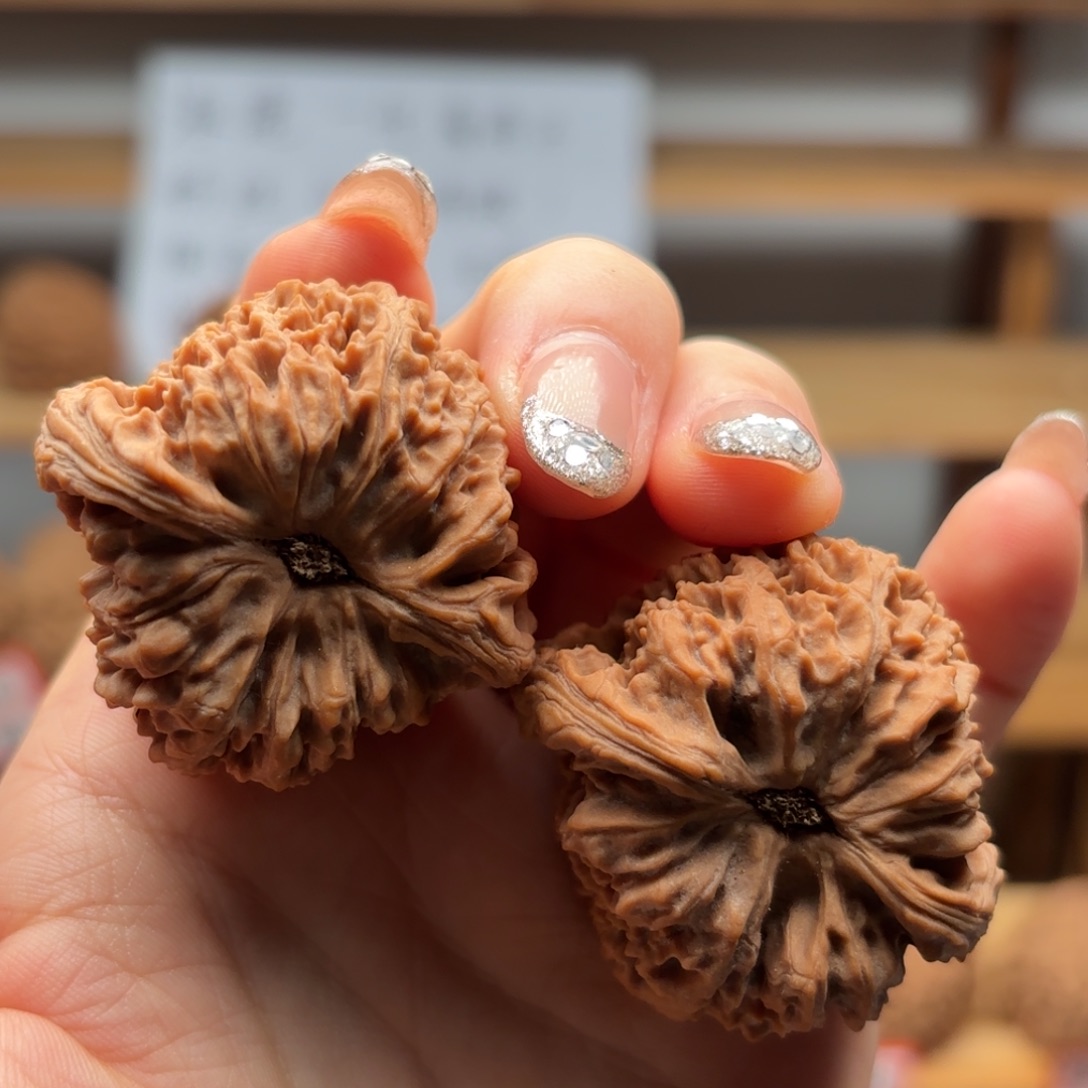 龍***葵核桃涿鹿一代南疆40