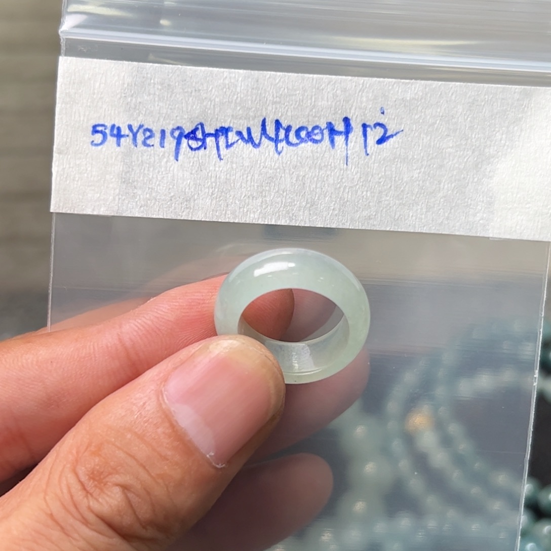 定制翡翠未镶嵌阁****仙