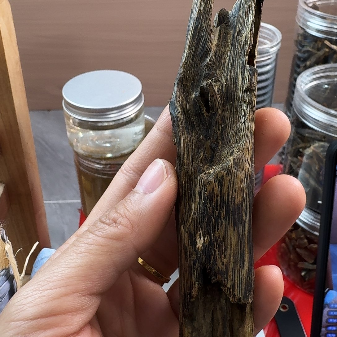 香料绿奇楠陆河天然虫漏17克