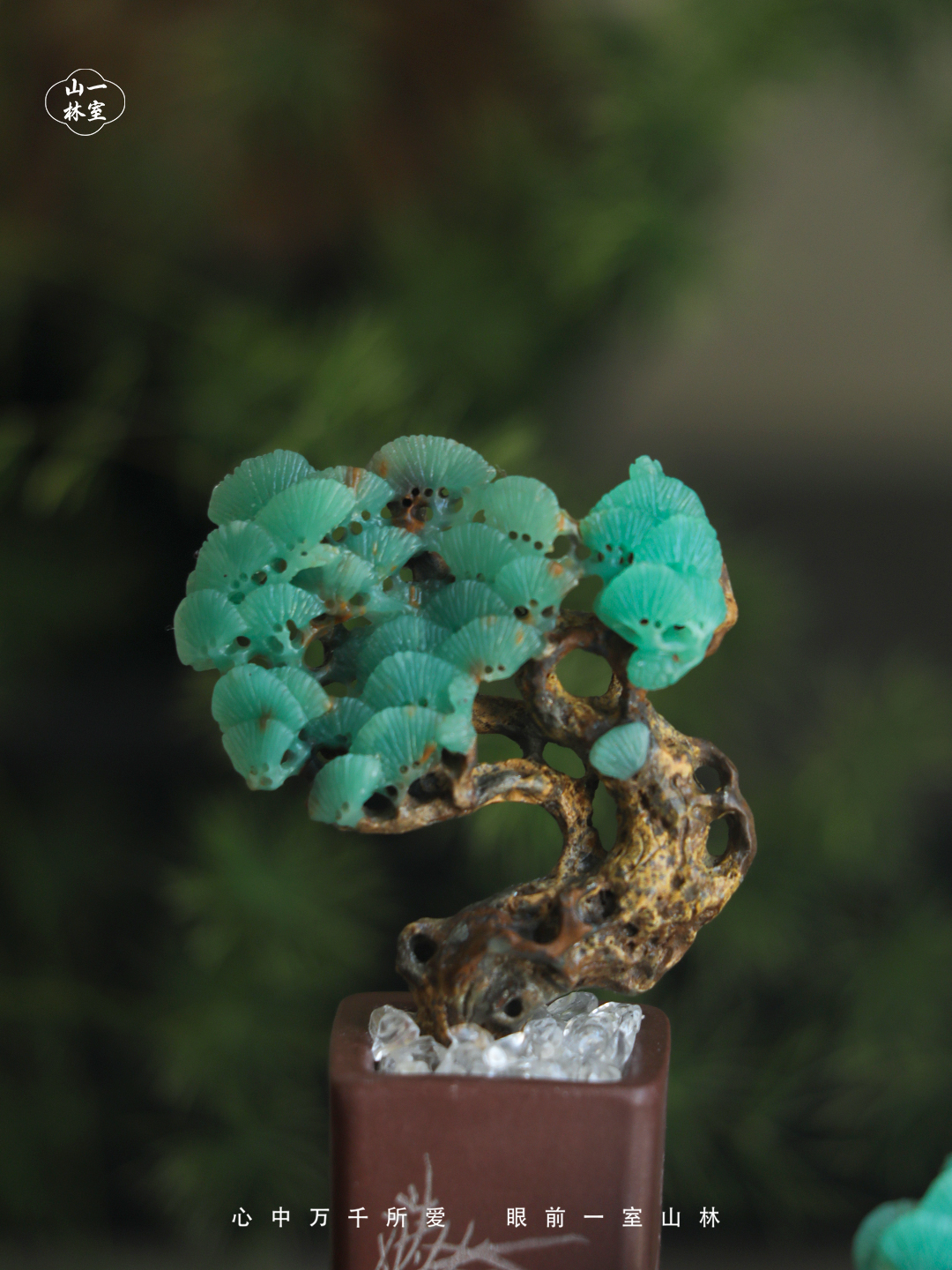养护/种植套组 | 清供盆景种植养护套组养护油