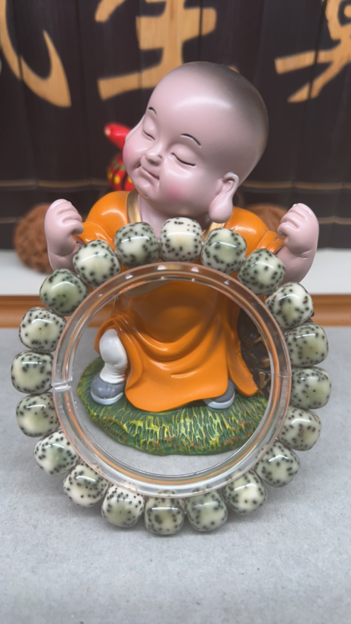 12双留白海南原生态星月菩提