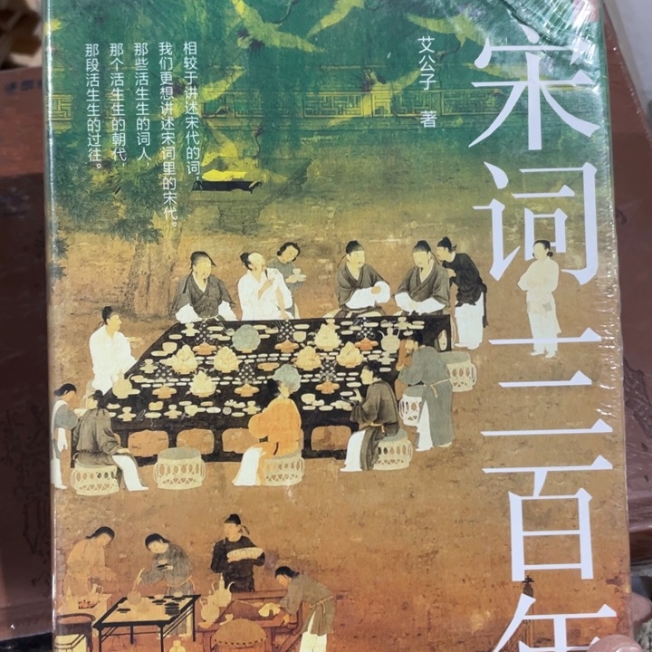 宋词三百年正版塑封