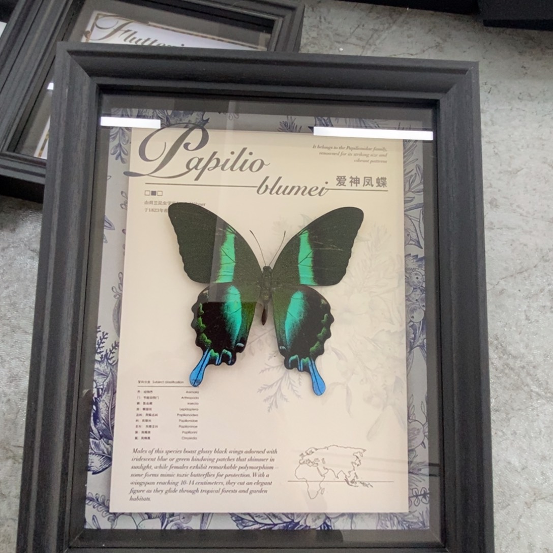 双层款铝合金1111111