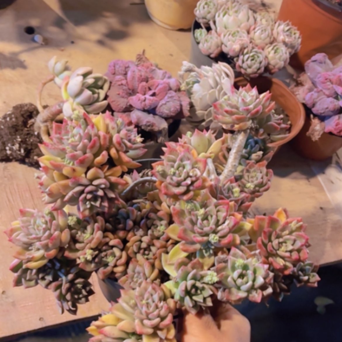 【闪购商品】油漆桶04317