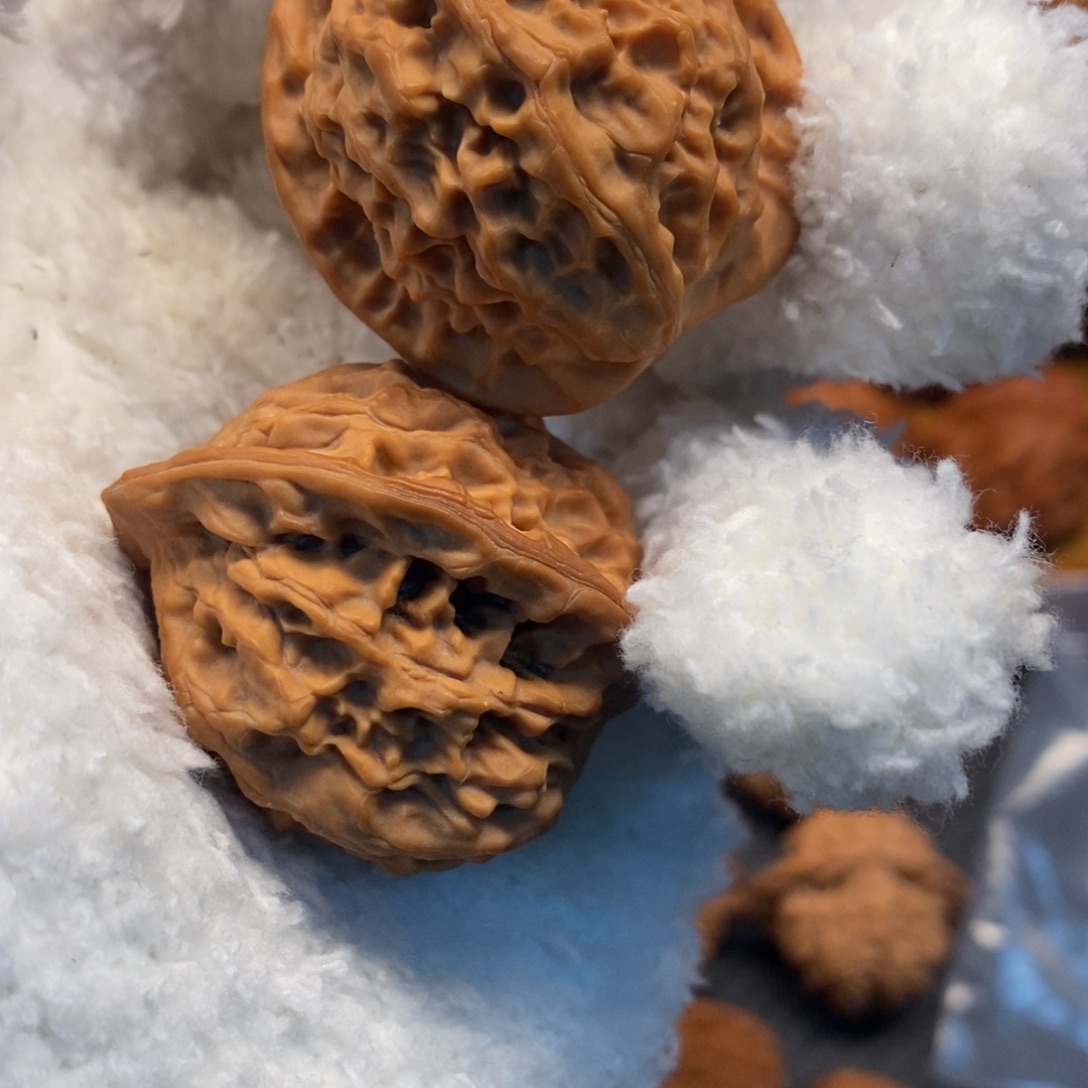 勋***吊坠文玩核桃秦岭森林中发现两条蛇