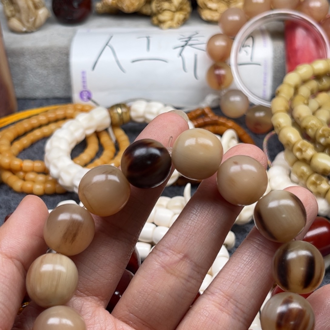 鹿骨其他人工养殖驼骨113