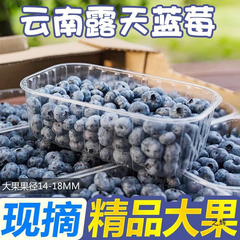 云南蓝莓新鲜水果应季批发非怡颗莓一整箱鲜果花香蓝莓 脆甜