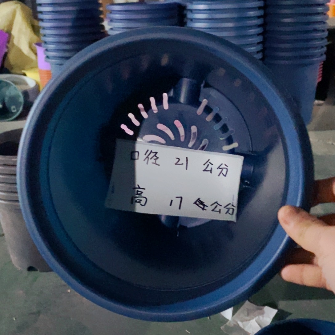 特价3号10个无拖藏青