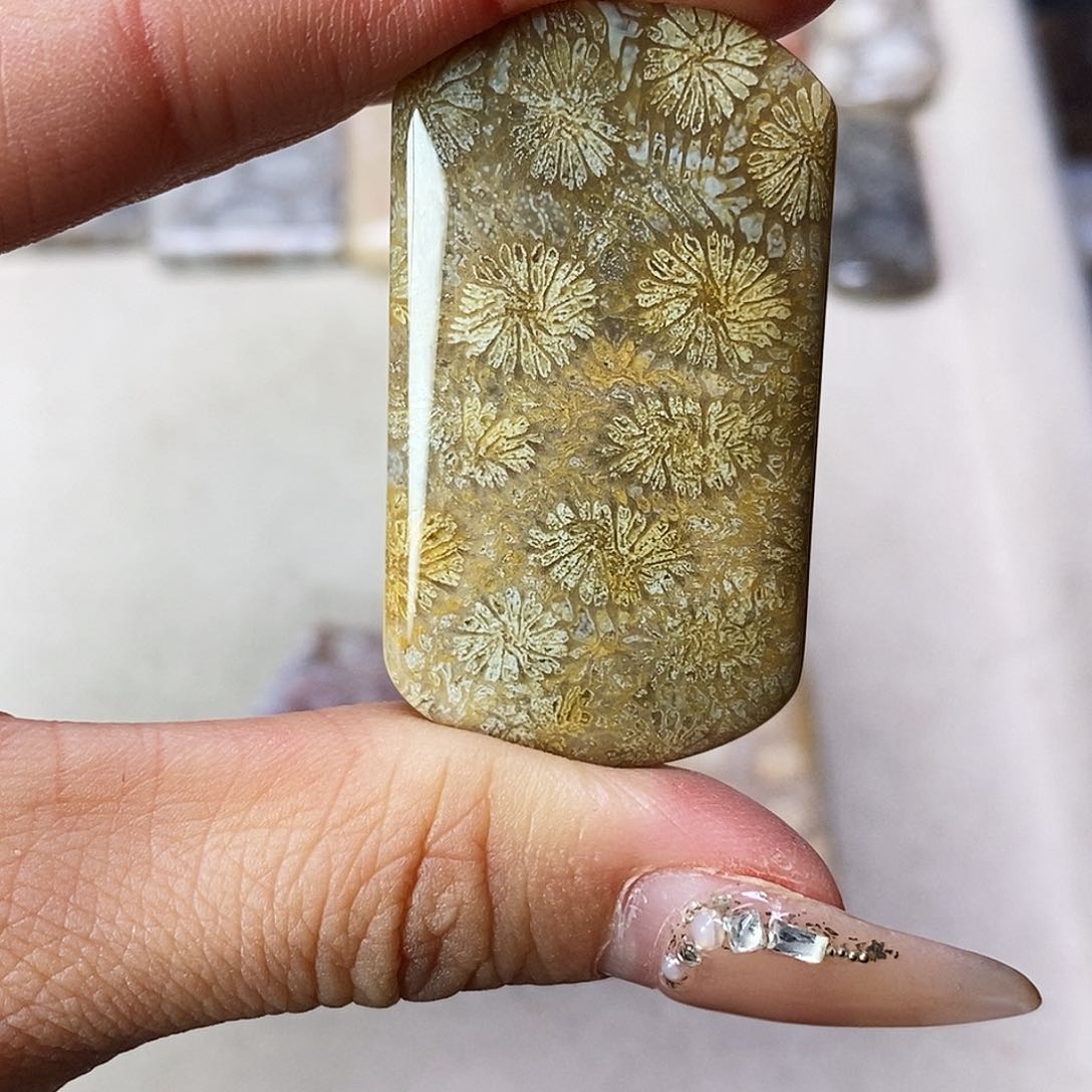 查罗石合金颈饰?