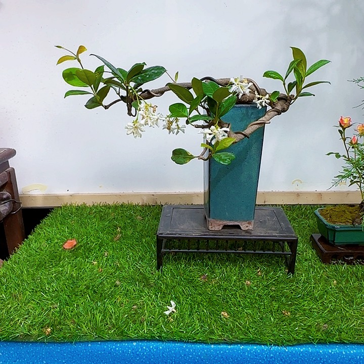 H****ad g h j l l