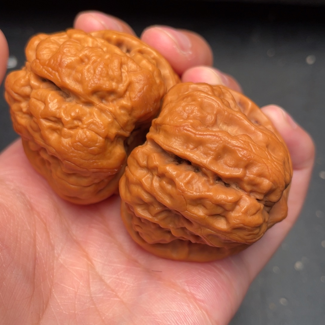 秦岭野生文玩核桃