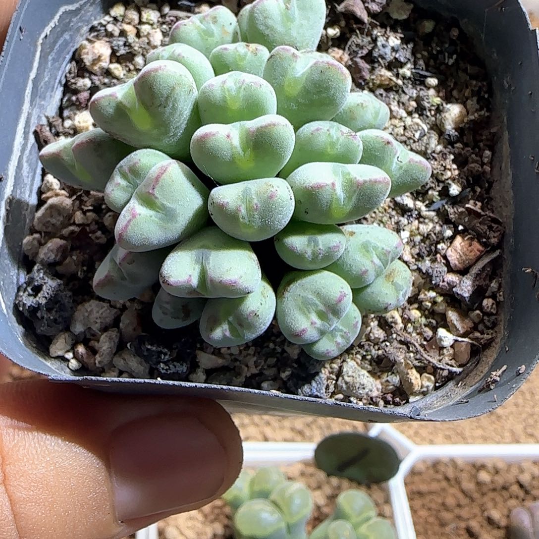 哈哈哈哈哈哈哈50718