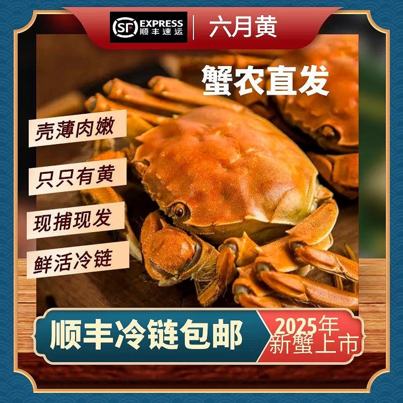 【只只有黄】六月黄蟹公2.2-2.7两大蟹10/14只