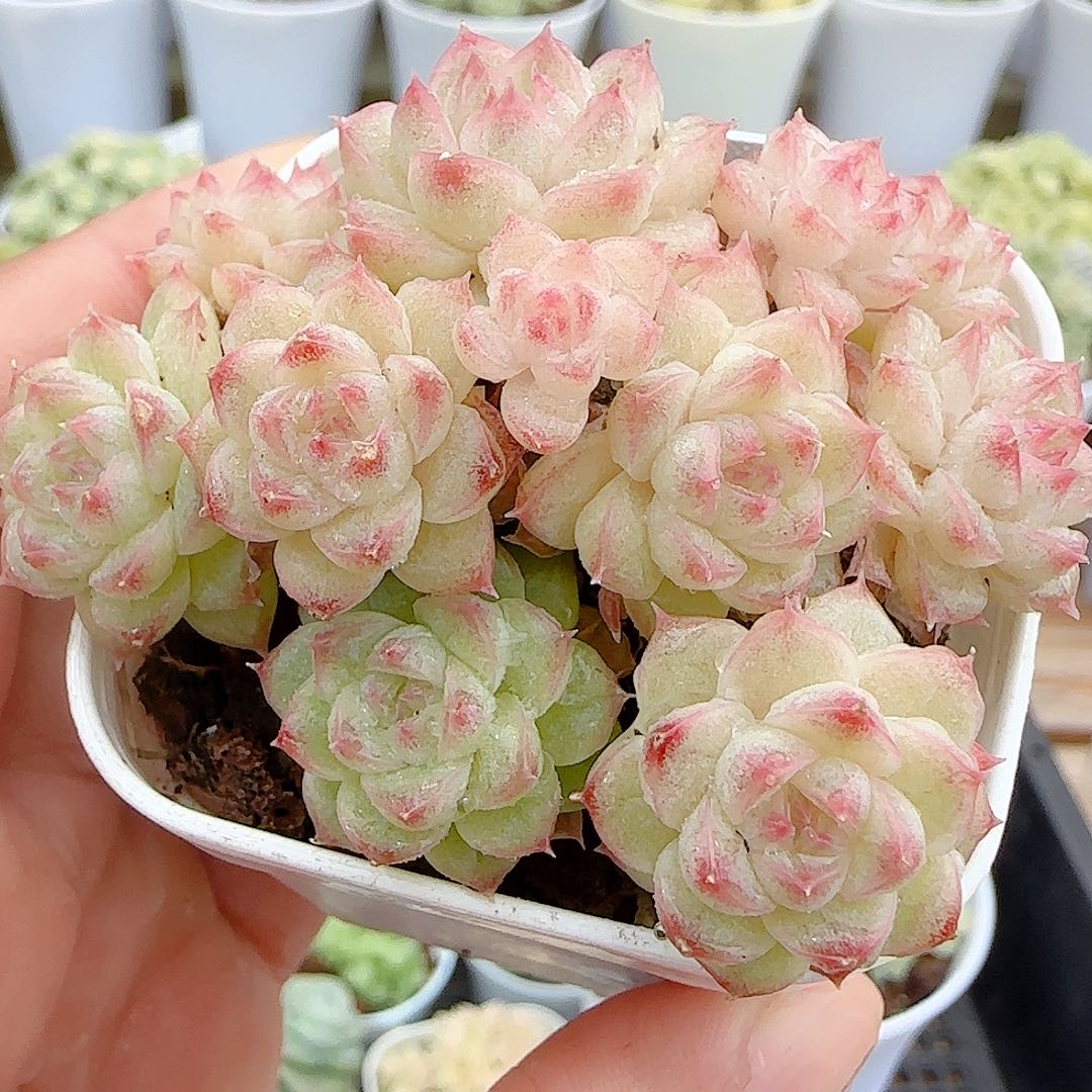 1026-43（ppt-36）优选