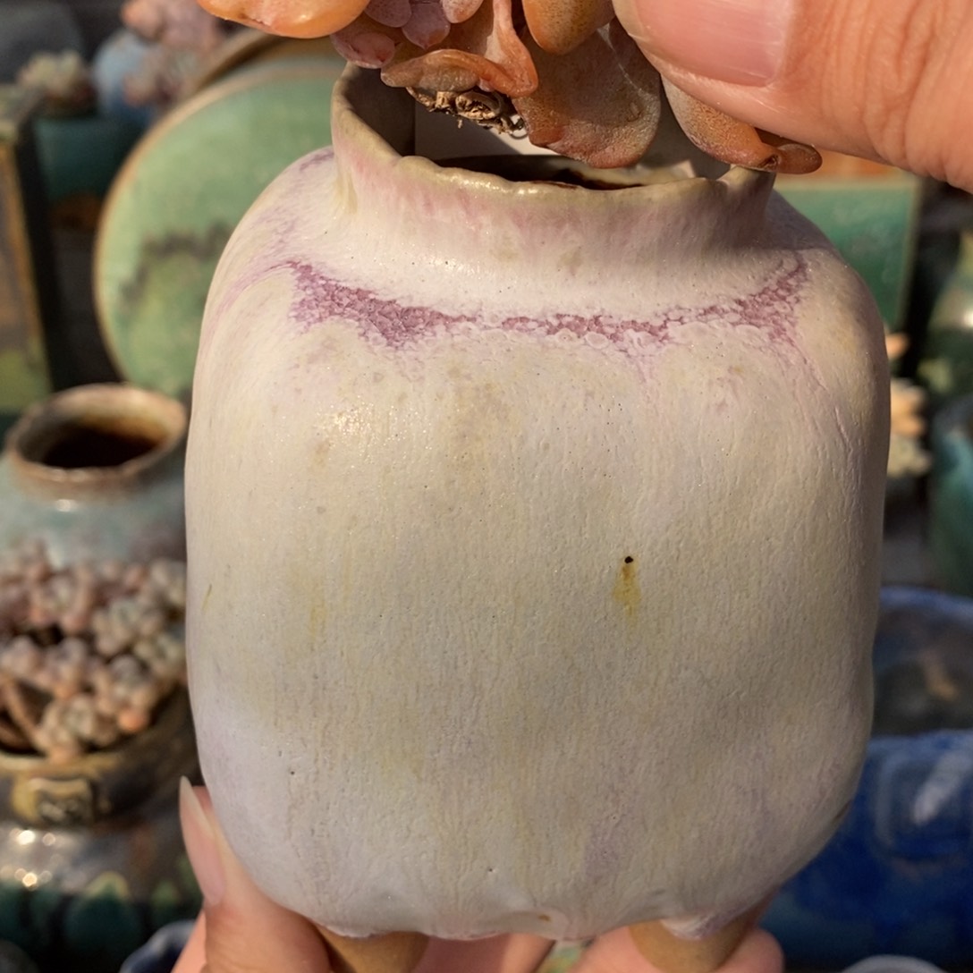 粗砂花盆1987盆新中式252