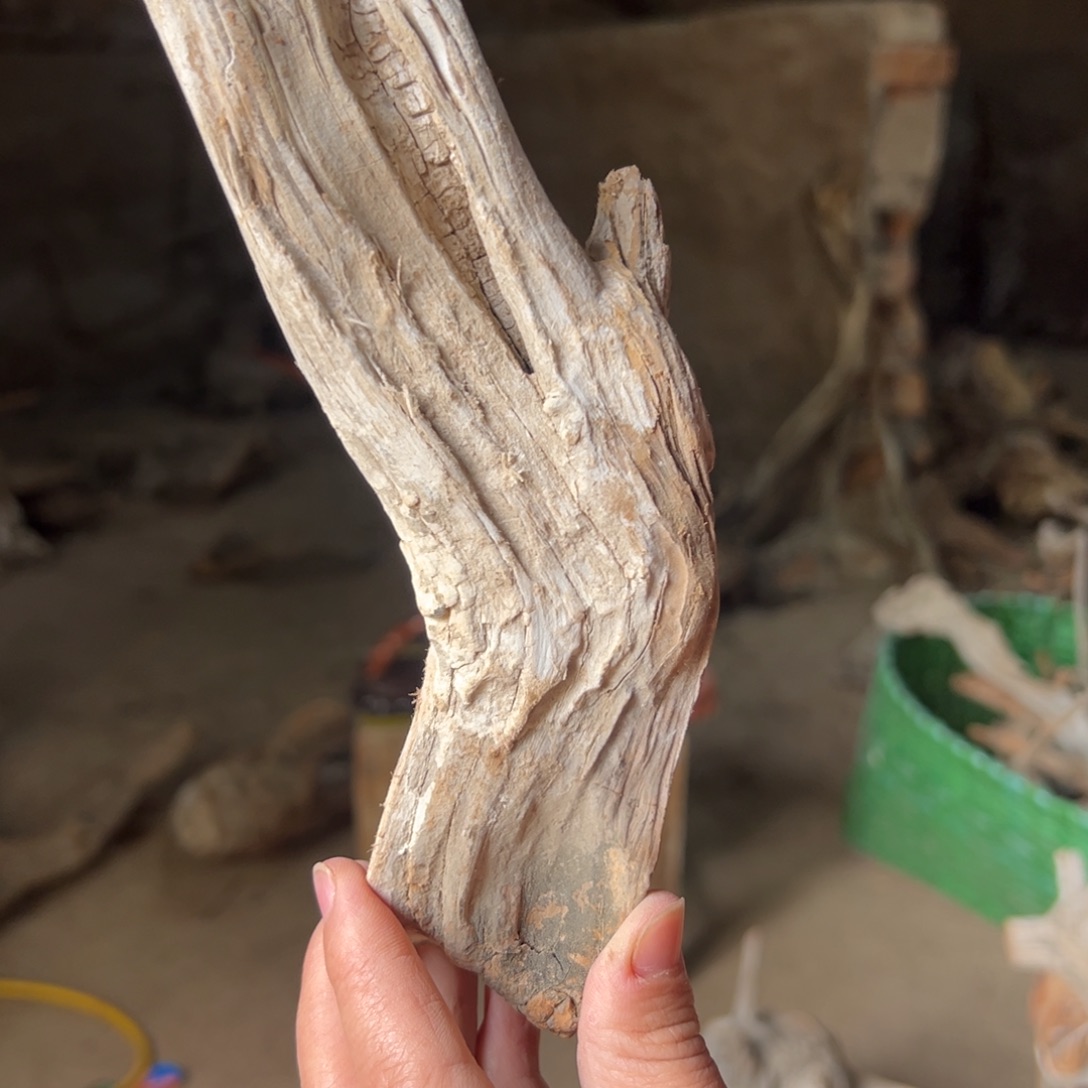 委***柏木（崖柏）文玩根雕 