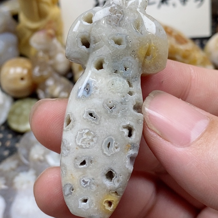 颈饰未镶嵌硅化珊瑚（珊瑚玉）有瑕