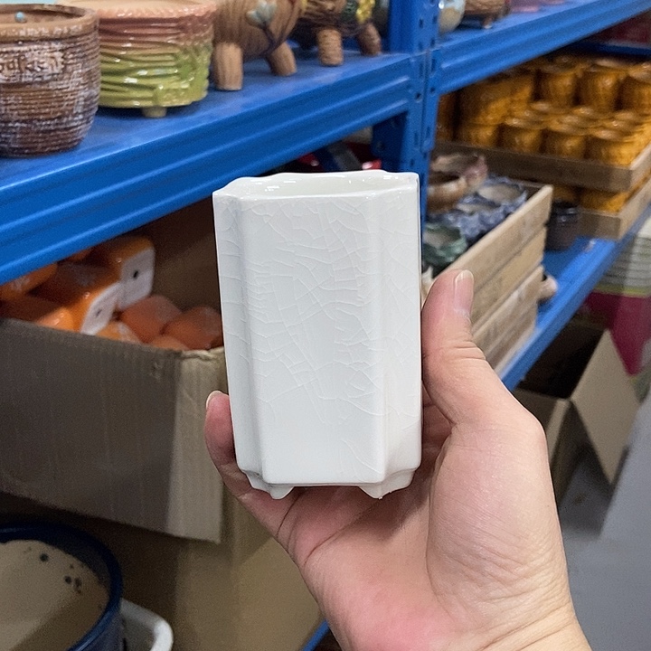 花盆单场满9.9发货6×10