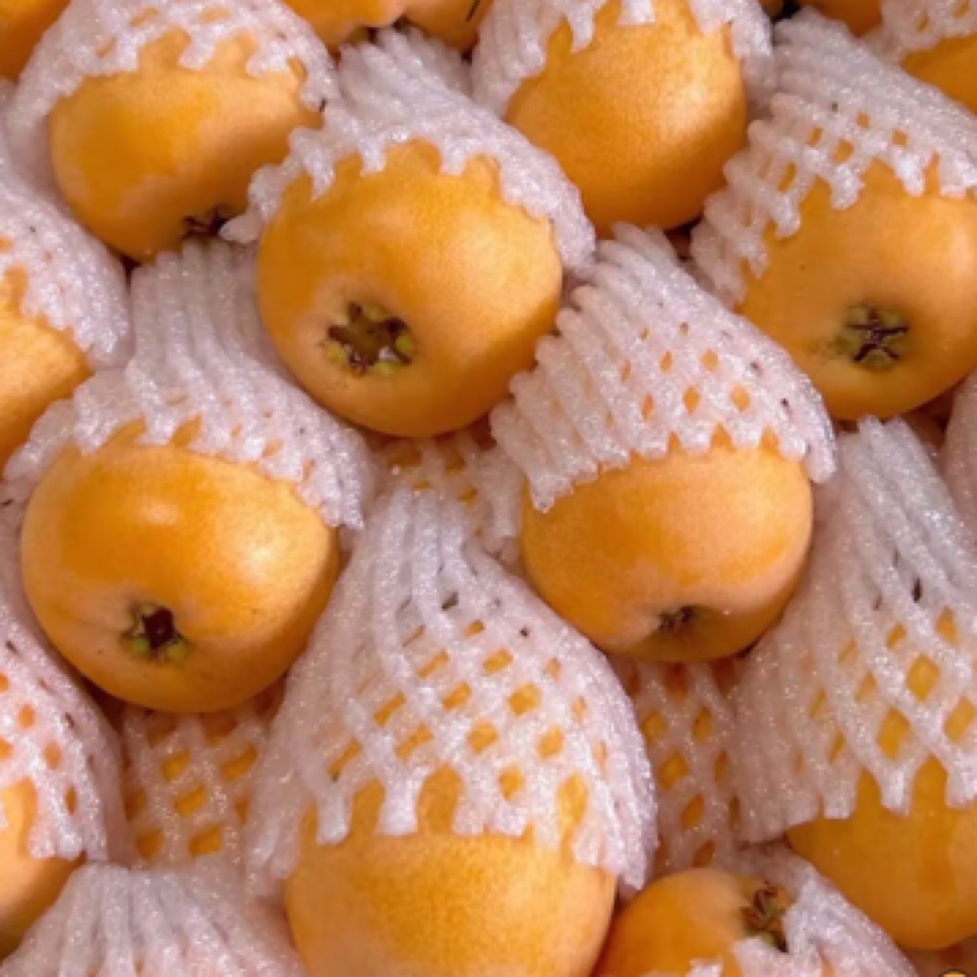 云南五星枇杷大颗粒一份云南省