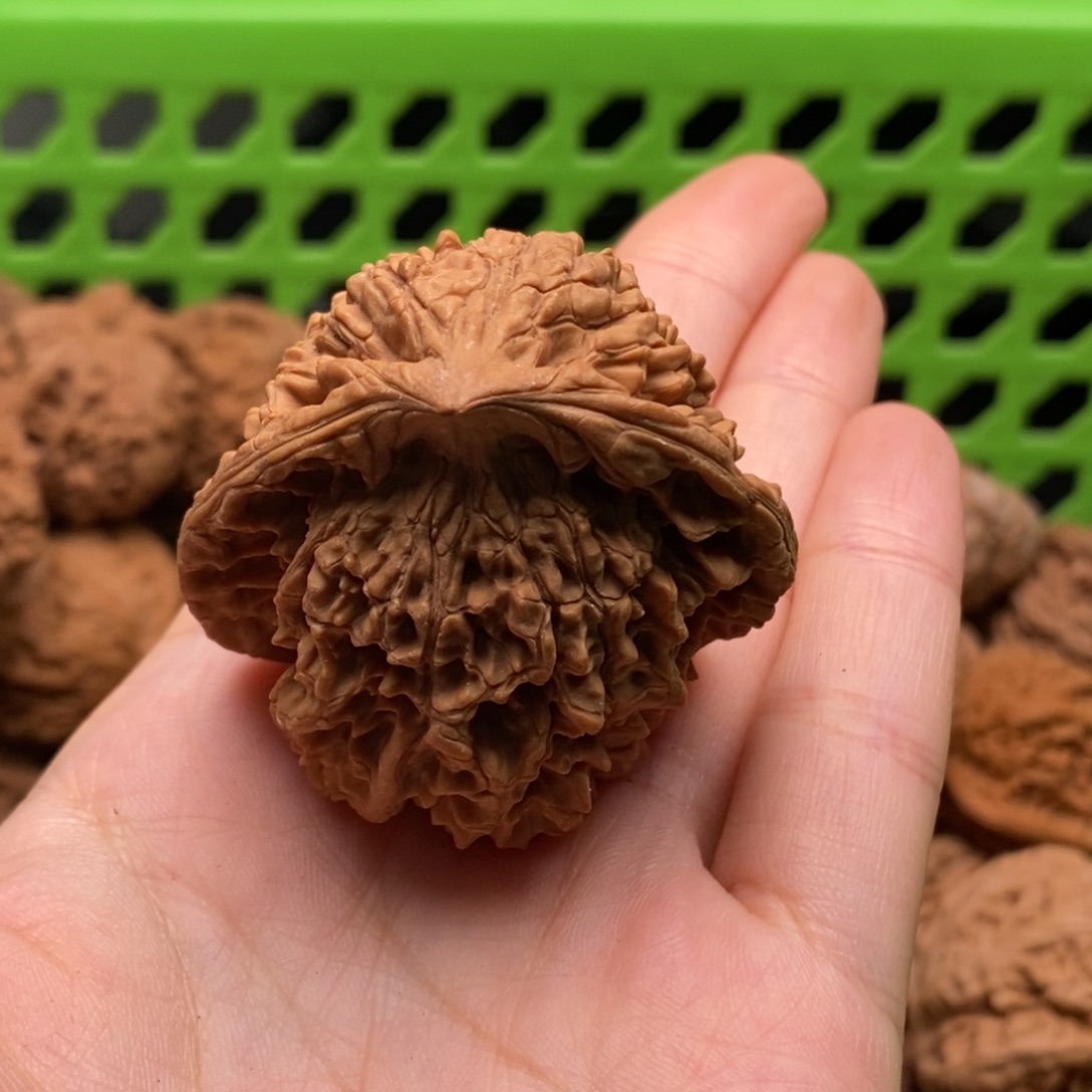 星***海核桃定制商品不退不换