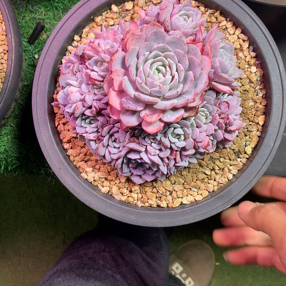 蓓***爷哈哈哈哈哈哈哈哈哈哈哈哈