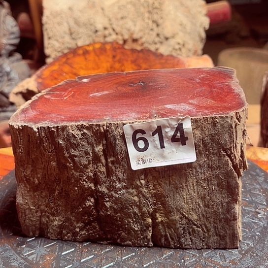 大果紫檀（缅甸花梨）