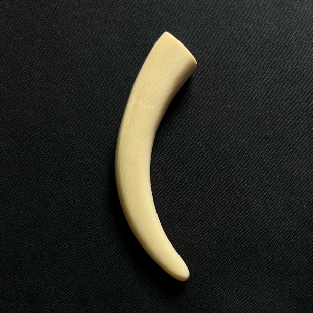 PJA06 牙尖 天然猛犸牙