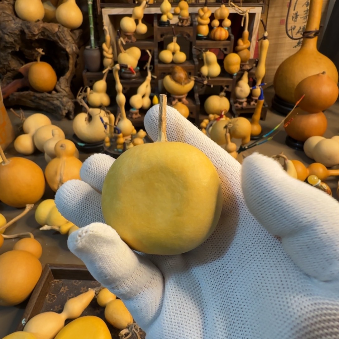 生***息半透60CM（含）-120CM（不含）葫芦葫芦好看葫芦