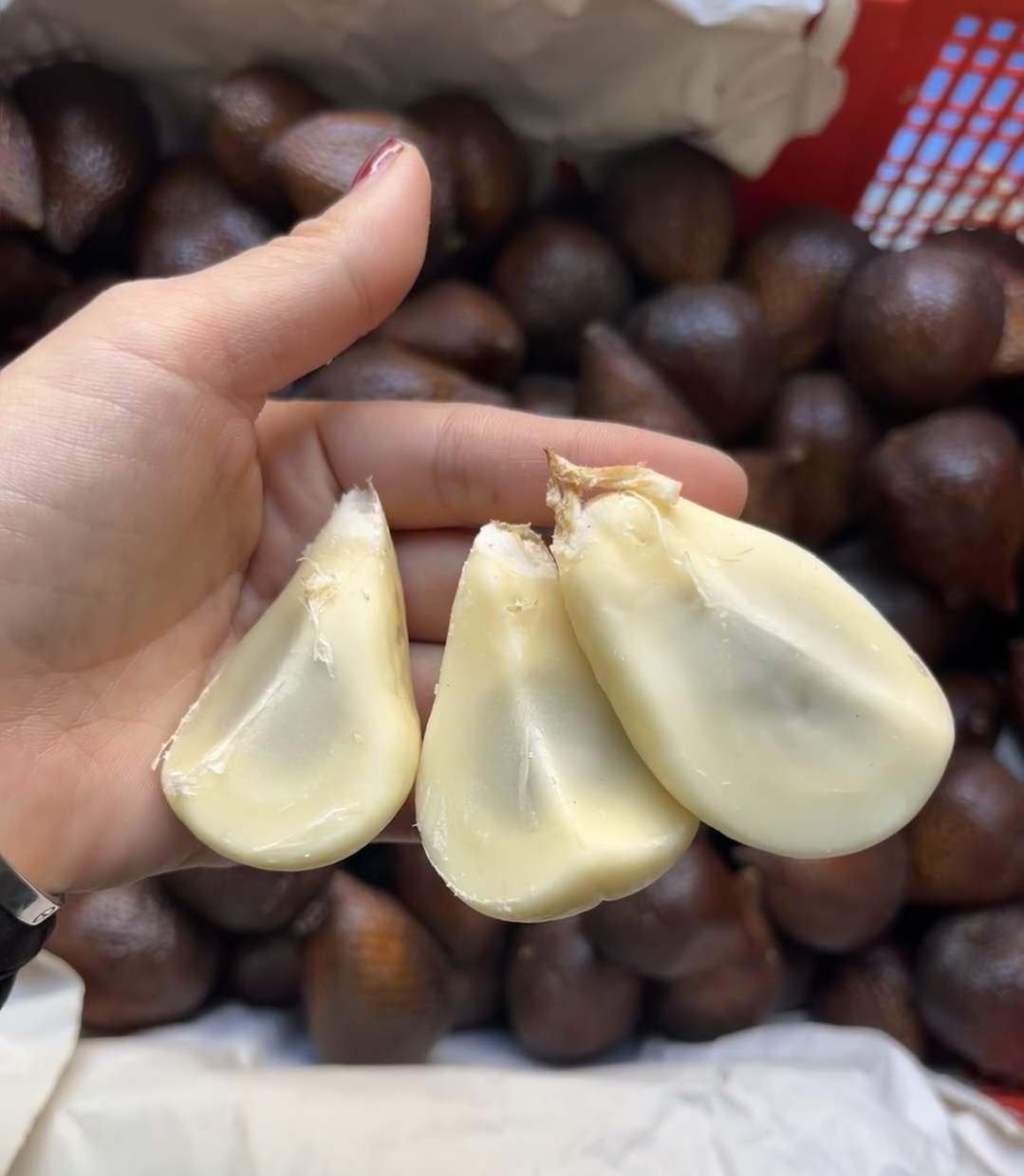 印尼进口蛇皮果当季新鲜热带水果坏果包赔