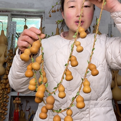 天然植物葫芦文玩